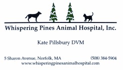 Kate Pillsbury DVM, 508-384-5904