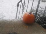 Snow before Halloween 2003, 40K