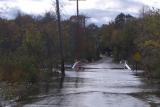 Miller St. Bridge flood
