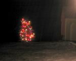 lighted tree, 34K